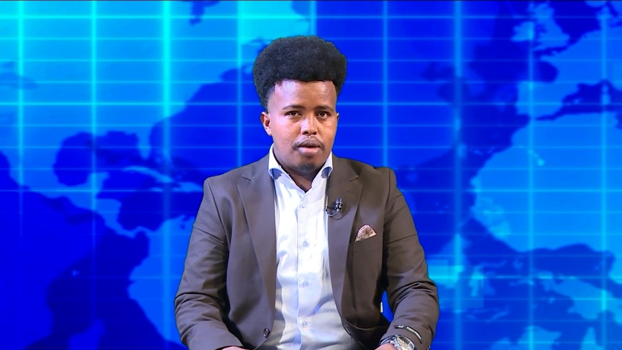 Warka Universal TV 03 04 2026