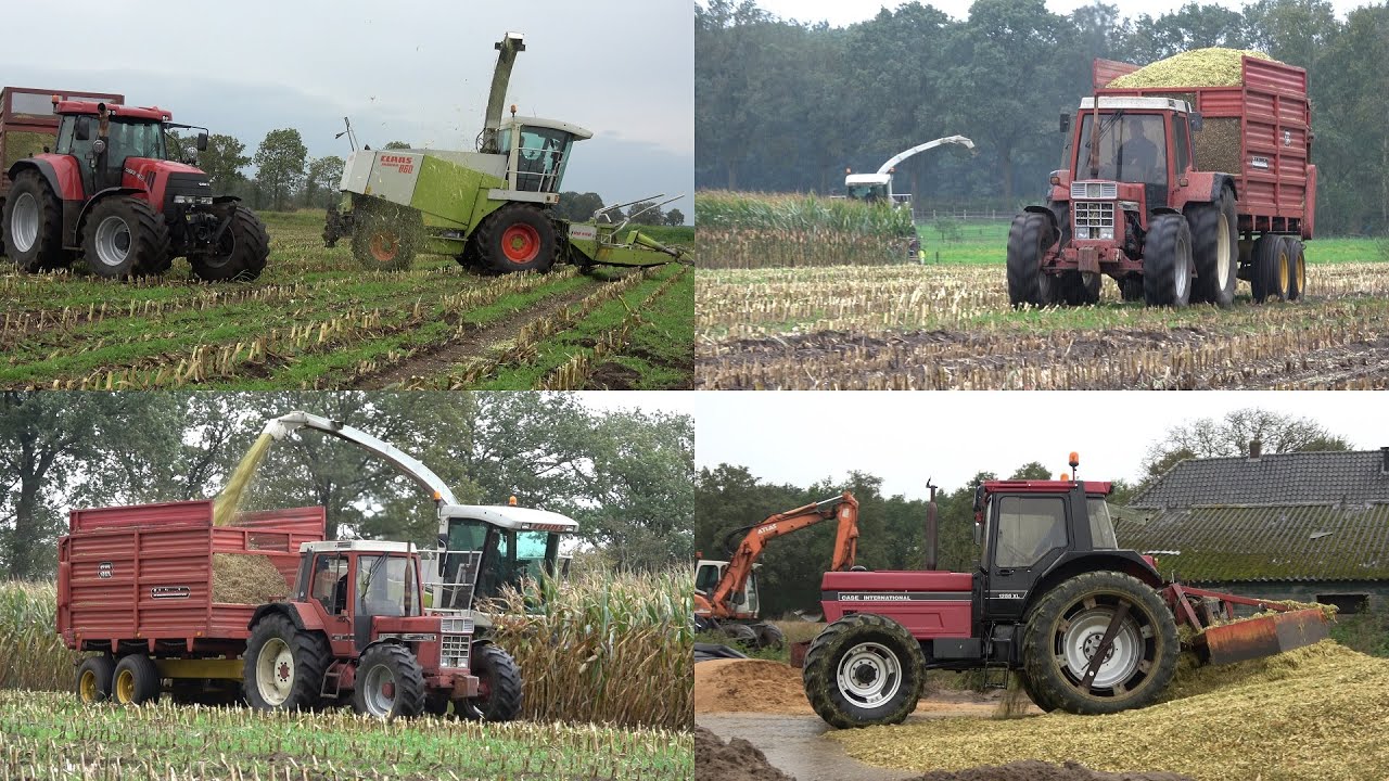 Mais hakselen en inkuilen door Gottemaker en Bosch met Claas Jaguar en IHC trekkers - Deel 2 (2023)