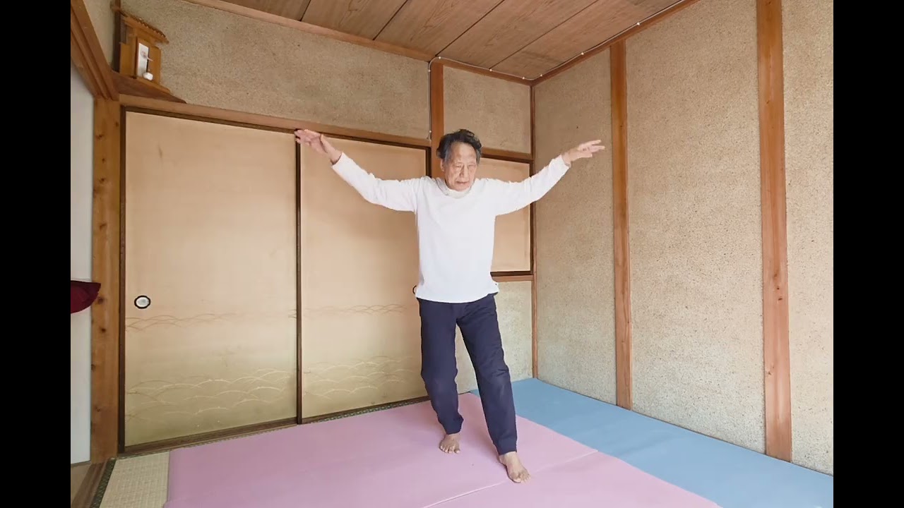 大雁功／過水飛上（コウスイフェイシャン）～転身（チャンセン）まで