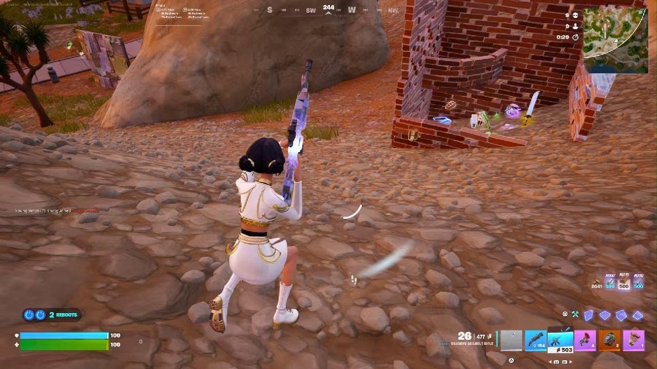 Fortnite victory
