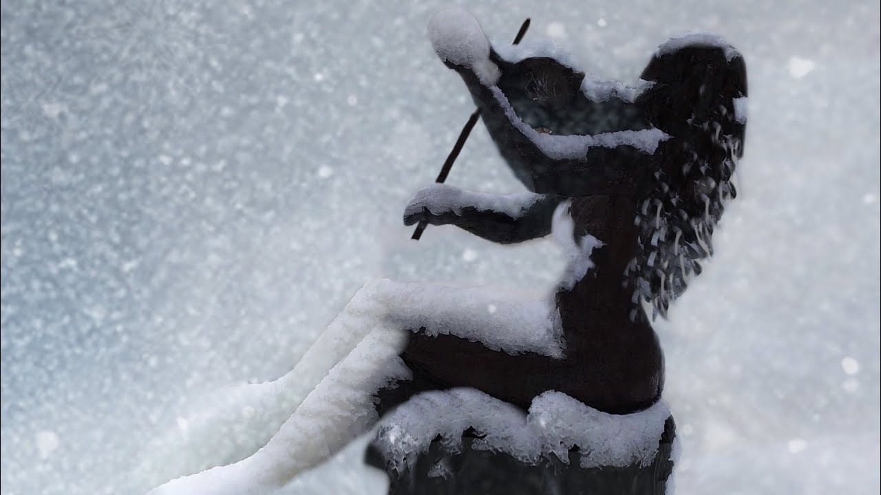 Winter highlights