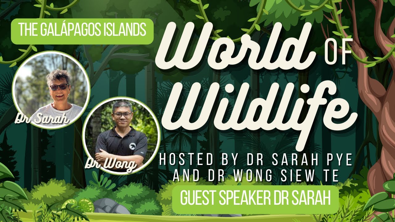 [WOW] Wildlife Conservation & The Galápagos Islands [October25]