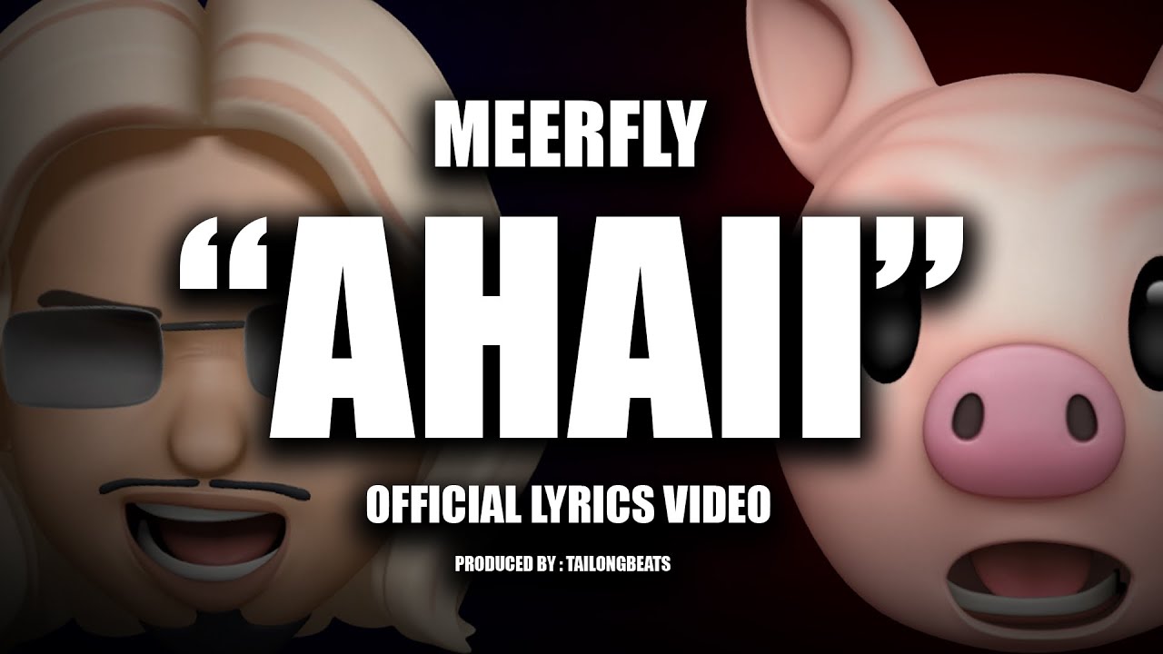 MeerFly  - 