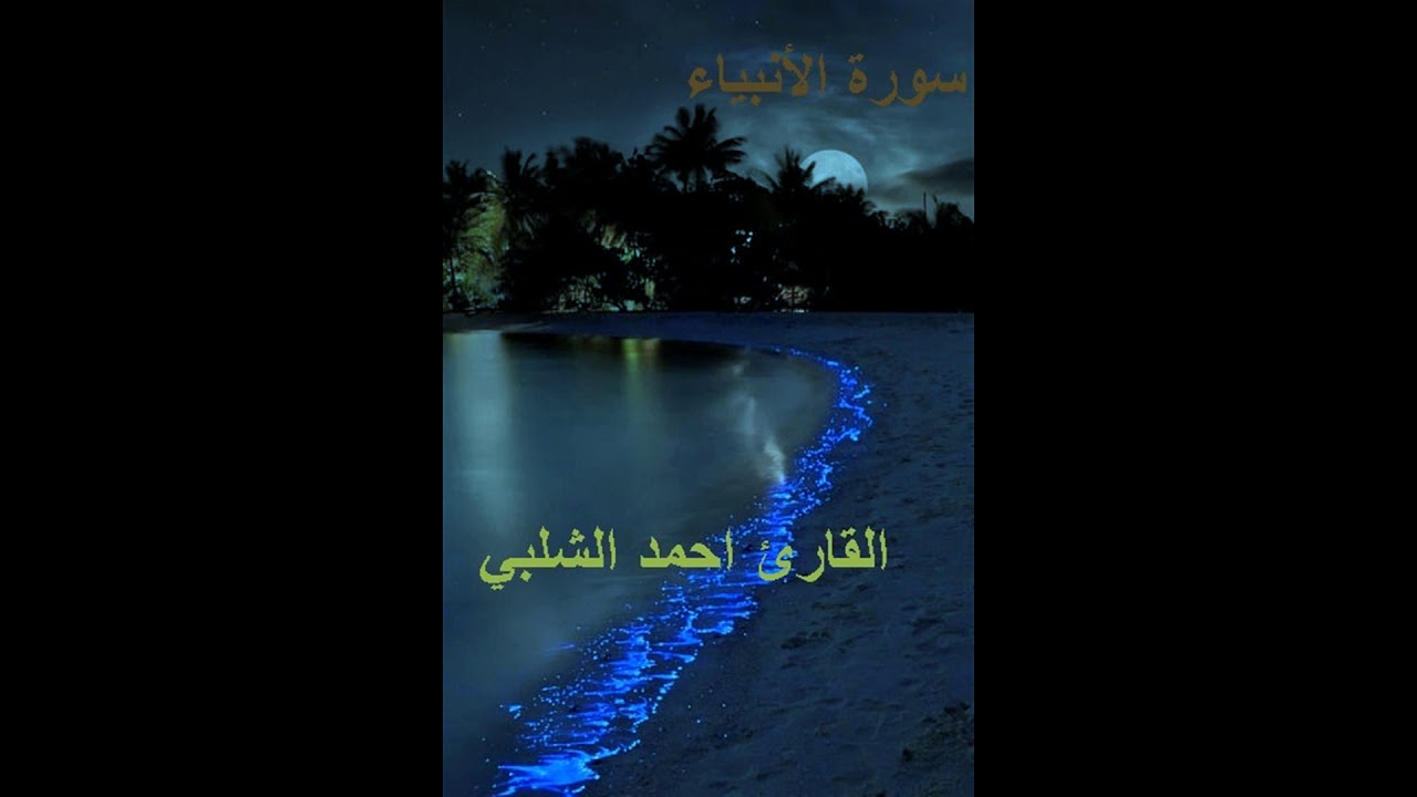 سورة الانبياء للقارئ احمد الشلبي