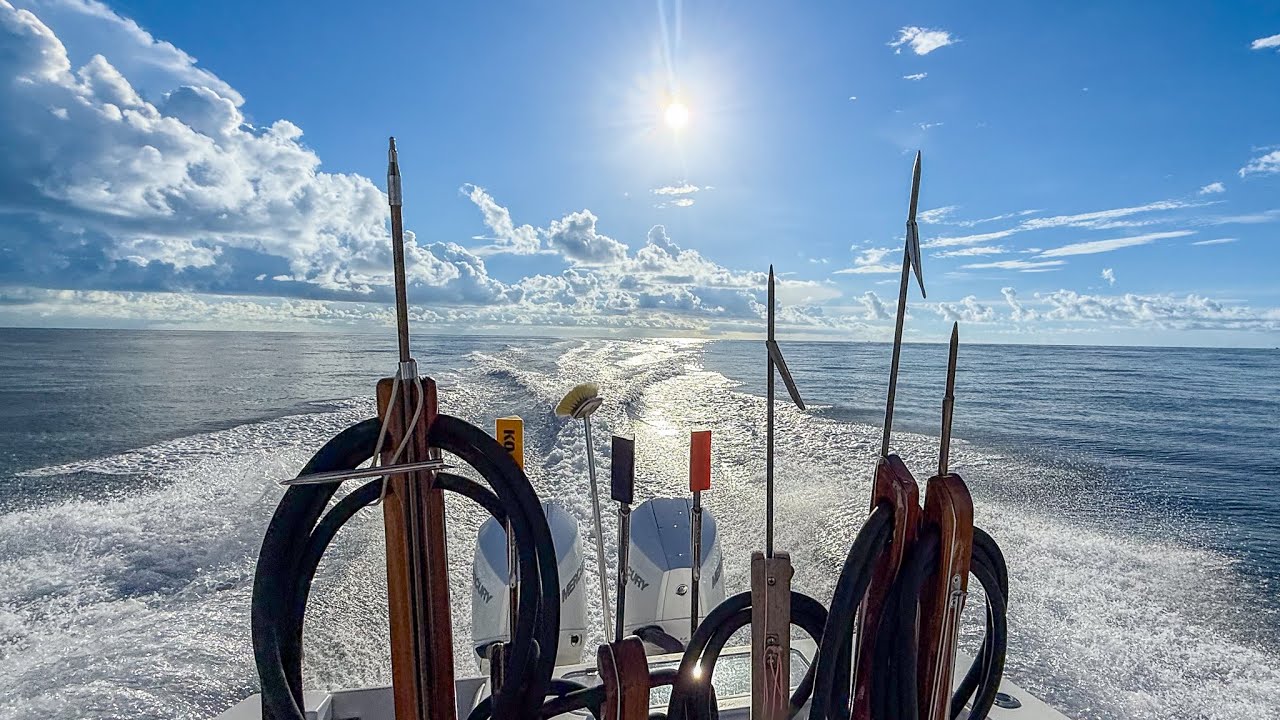 After Work Strike Mission - Bluewater Spearfishing - CCC