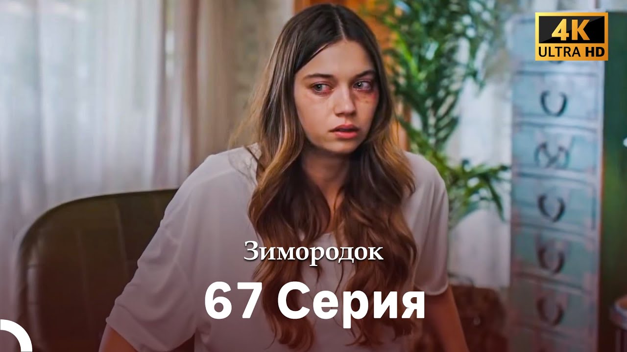 Зимородок 67 Cерия (Русский дубляж) (4K)