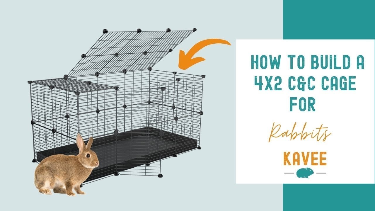 How to Build a 4X2 C&C Cage for Rabbits