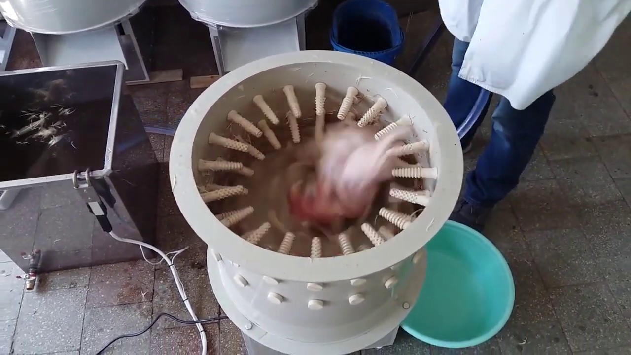 Chicken Plucker Machine by Plucker Ukraine
