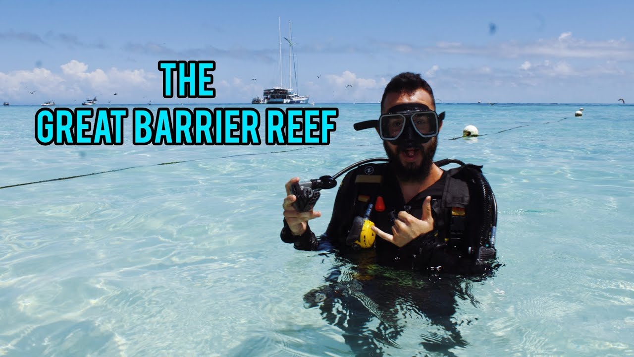 Scuba and Snorkel at Michaelmas Cay