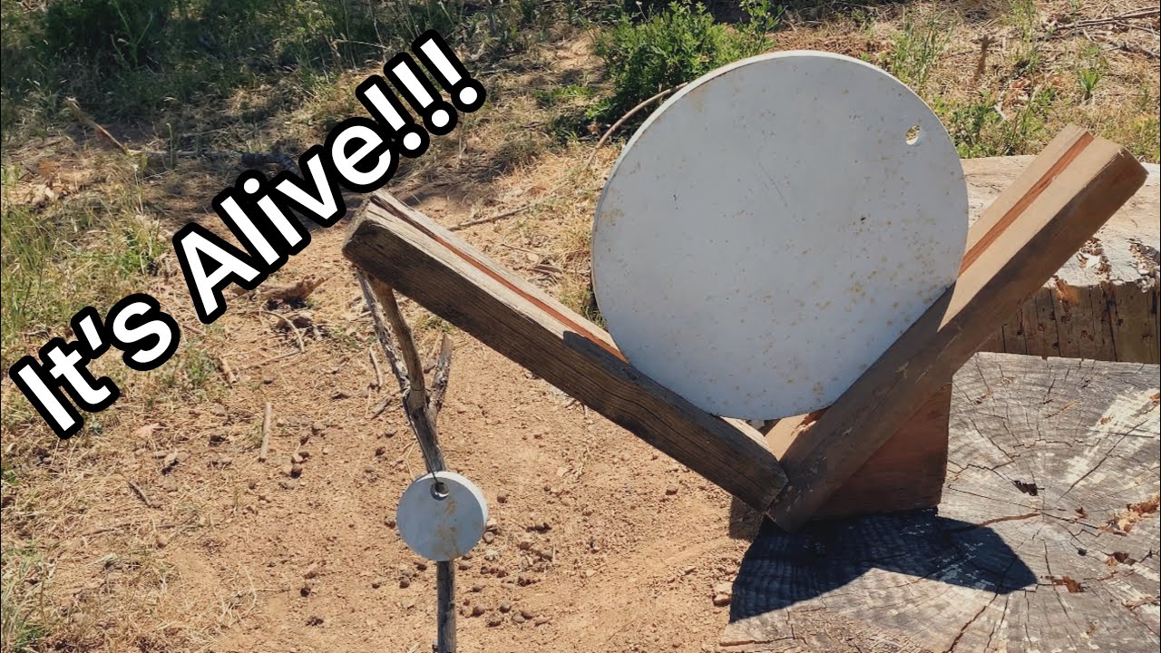 CZ 457 Varmint - Moving Target!