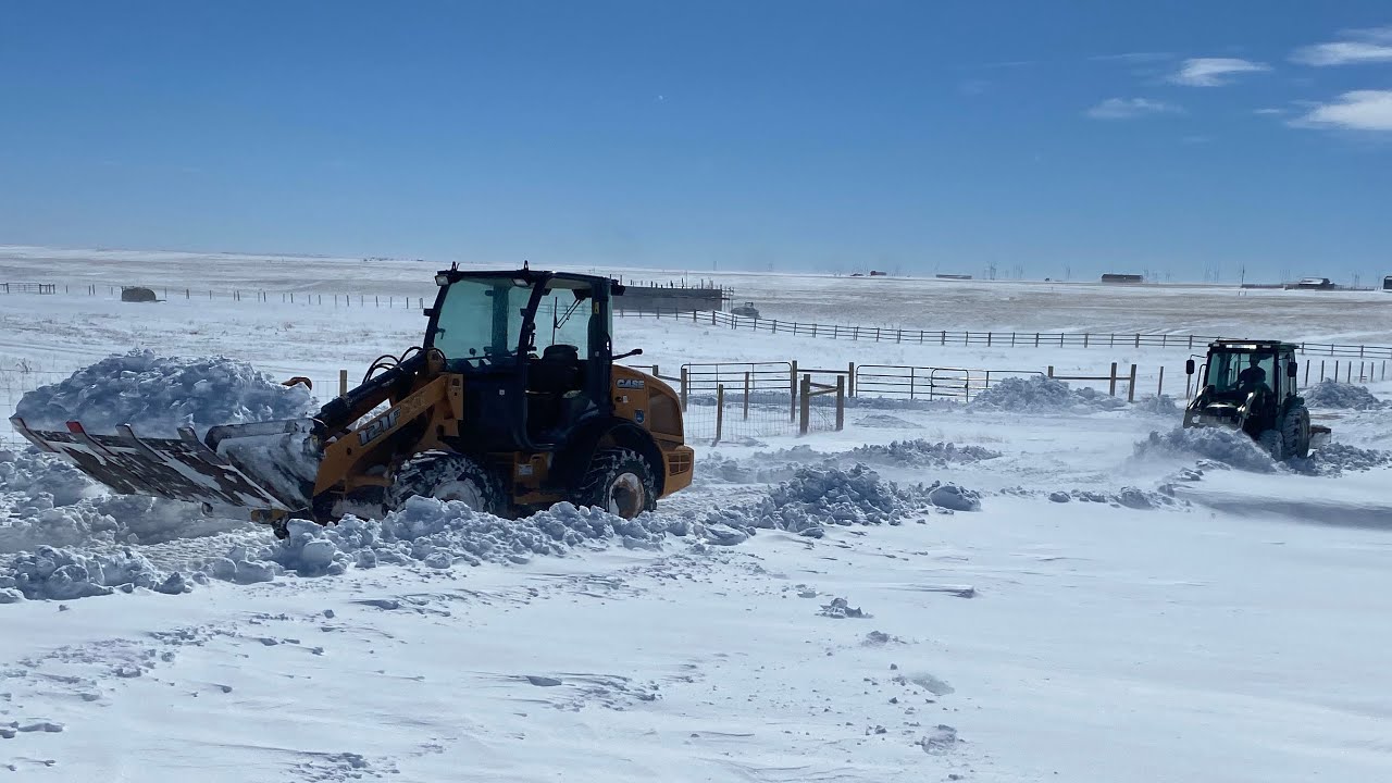 Snow|Uniting the neighborhood