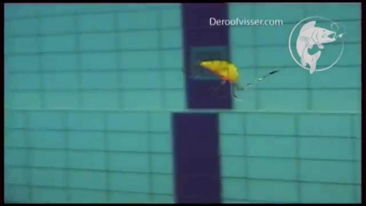 Salmo Hornet