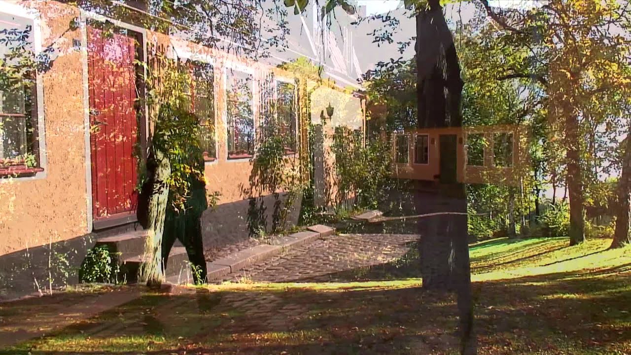 Gonzalo Aloras - Homelove [HD]