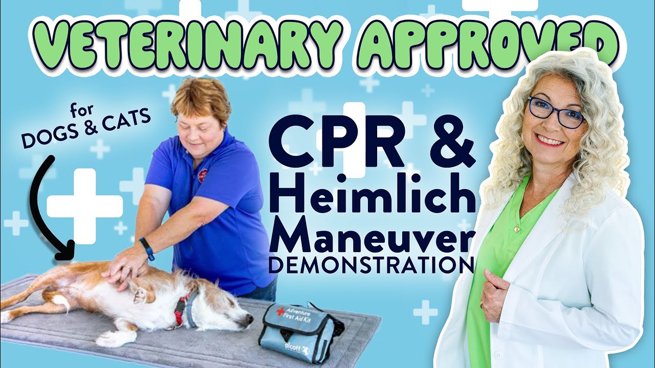 Dog & Cat CPR & the Heimlich Maneuver