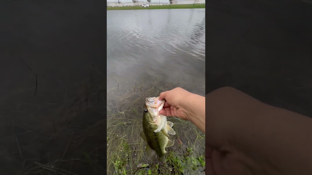 After work chunky bass release