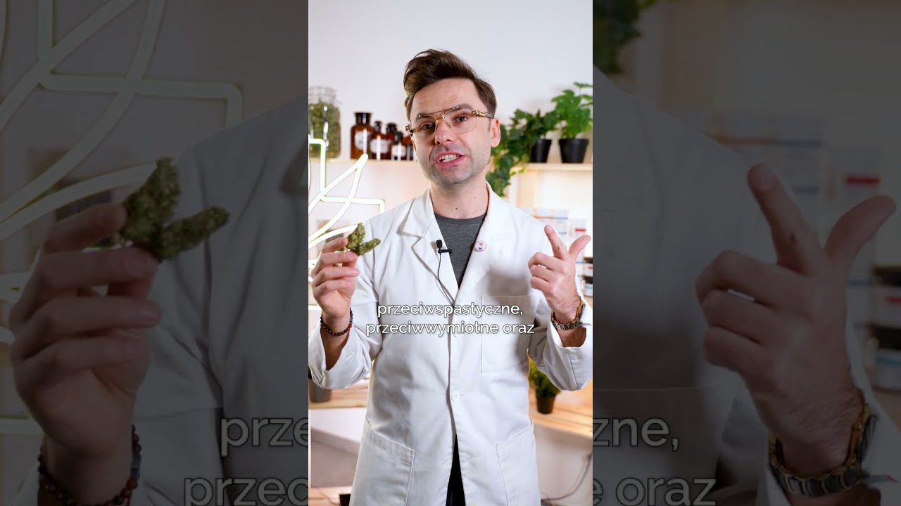 THC a CBD &ndash; czym się r&oacute;żni?