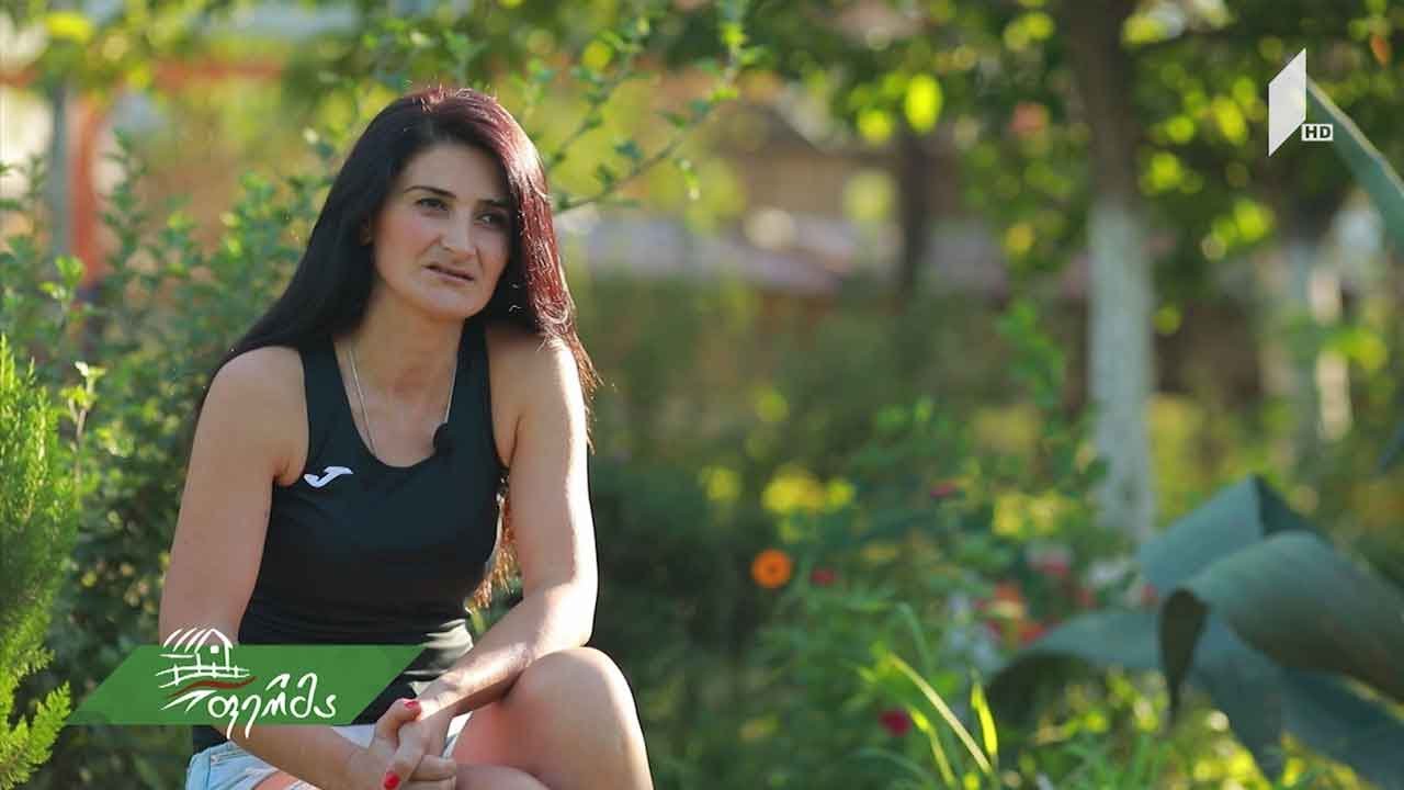 #არტიშოკი საინტერესო აგროგმირი სოფელ პატრიკეთში