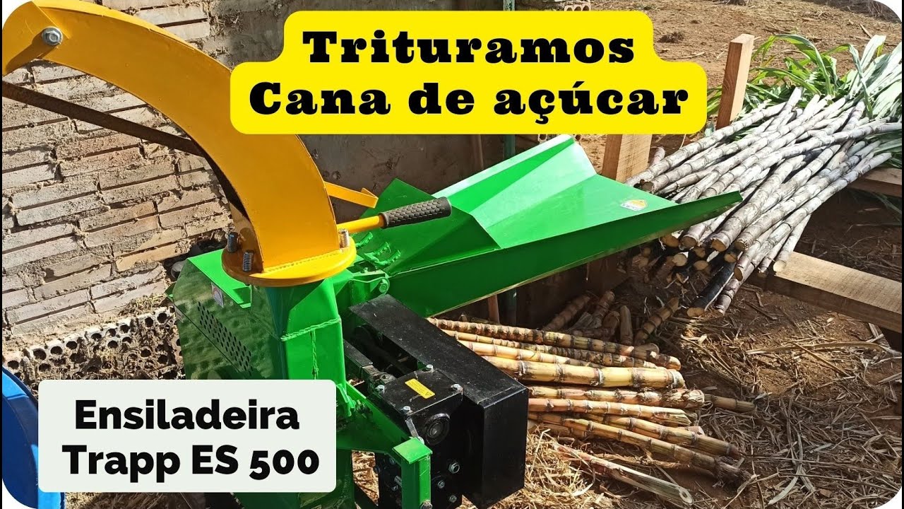 Ensiladeira Trapp ES 500 picando Cana de a&ccedil;&uacute;car - Vd 41
