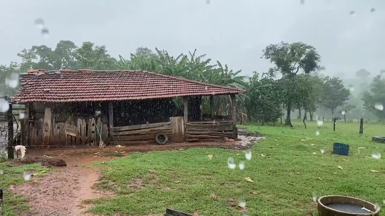 Chuva na fazendinha 🙌