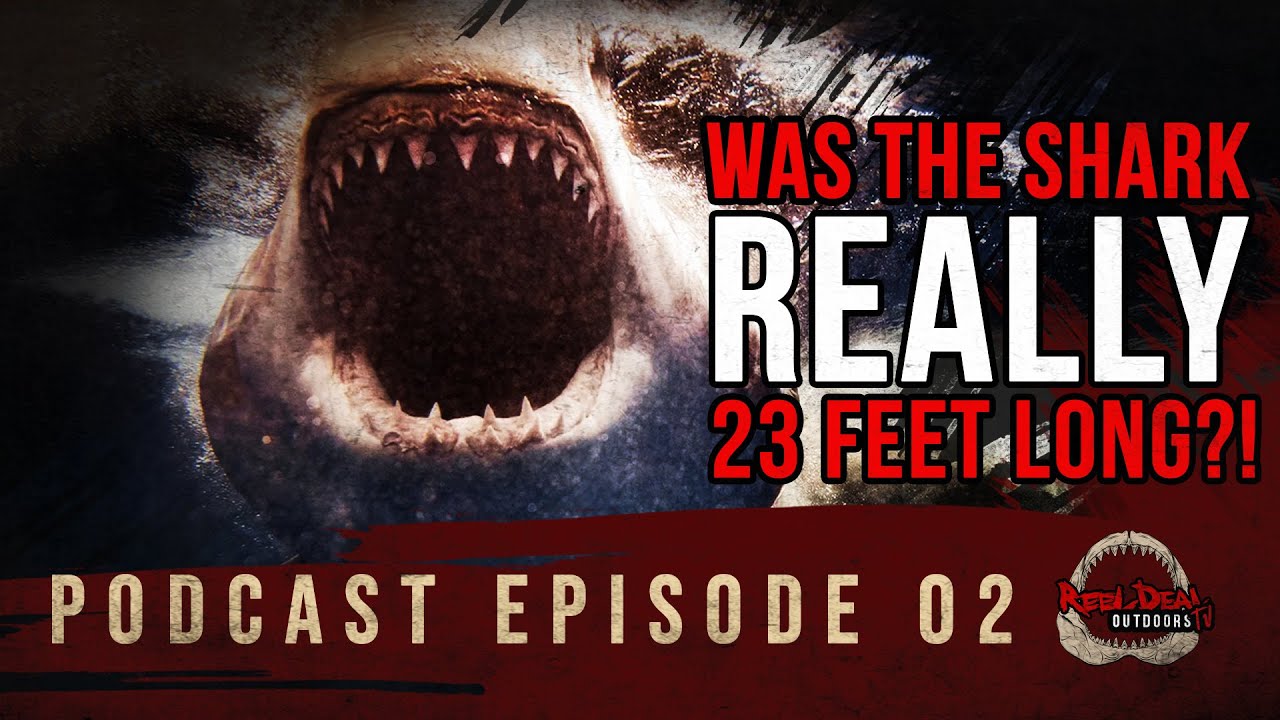 ATTACKED By A 23Ft Long White Shark?! - Lewis Boren Story Continued - Podcast 02