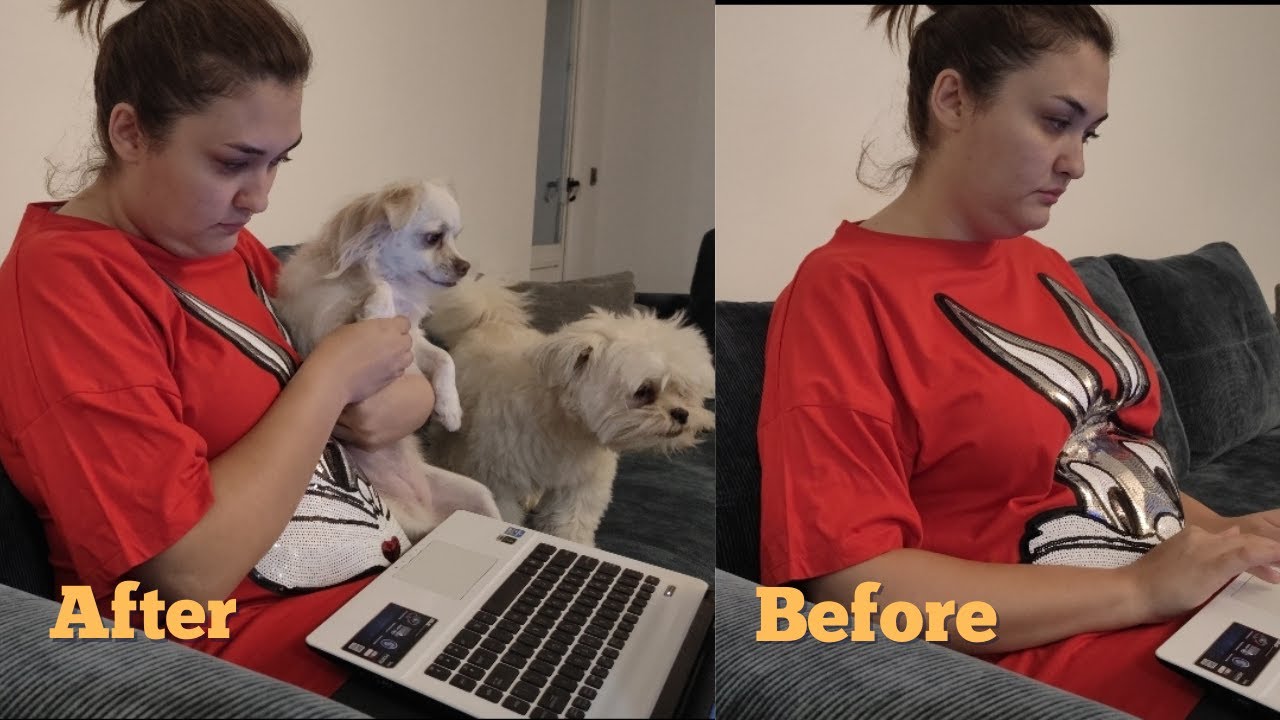 Life before dogs vs life with dogs