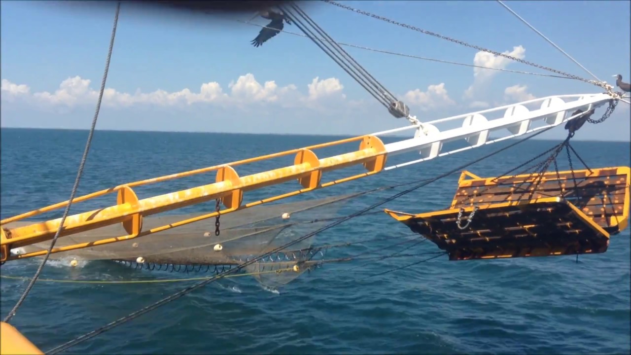 Pesca de camarón con red de arrastre