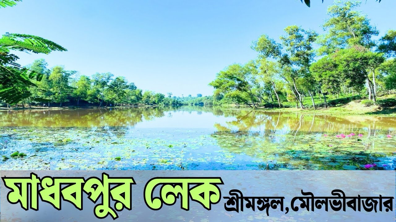 মাধবপুর লেক শ্রীমঙ্গল । madhobpur lake shrimpngol .
