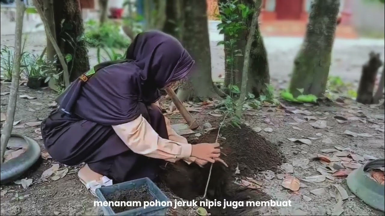 Tugas PPKN menanam pohon di halaman sekitar rumah