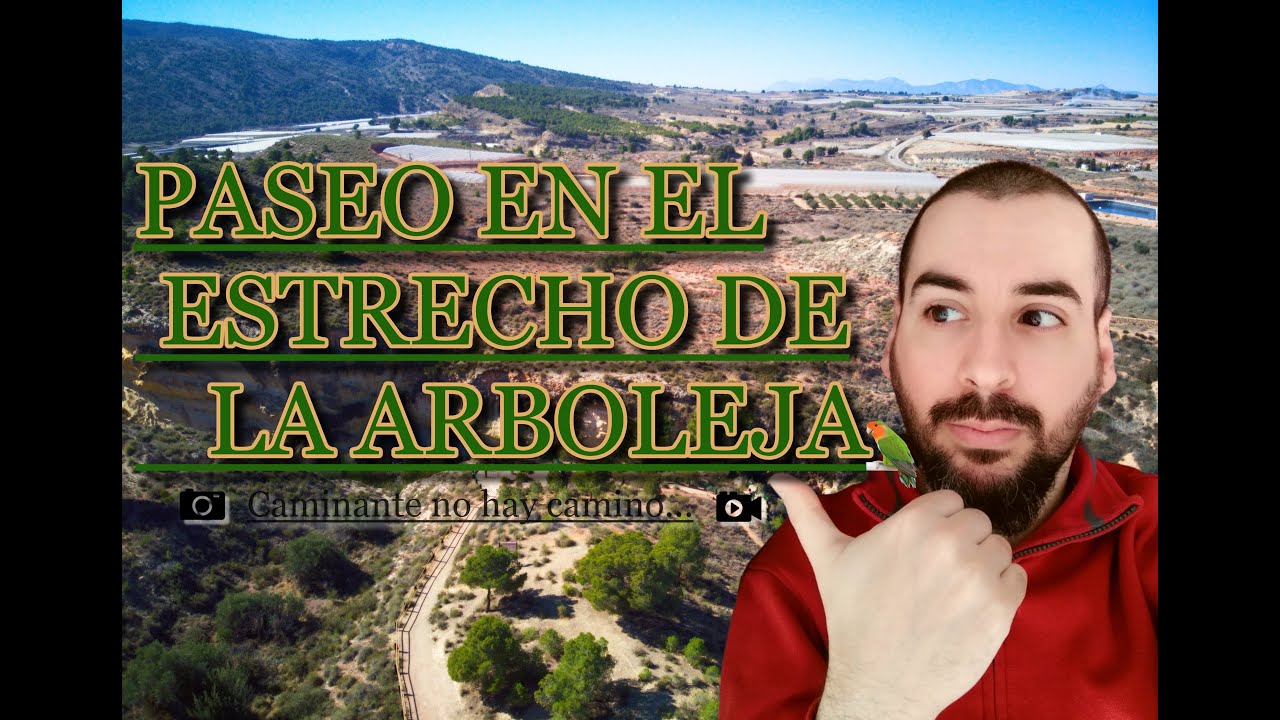 PASEO EN EL ESTRECHO DE LA ARBOLEJA...¡¡ENTRAMOS EN UN SOBRECOGEDOR DESFILADERO!!