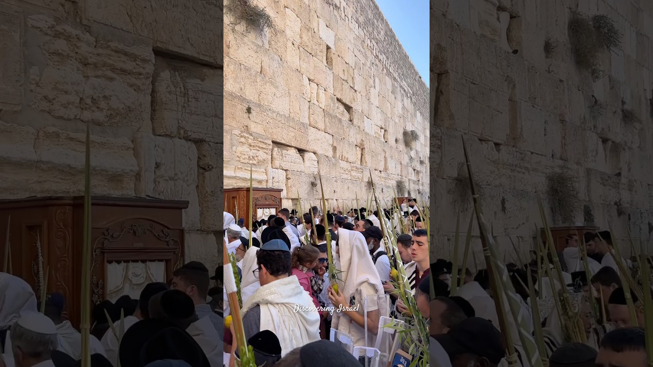 Traditional priestly blessing (birkat kohanim) in Sukkot at the Western Wall in Jerusalem. 2024