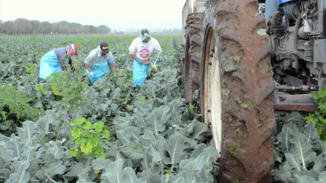 Historias de Éxito: Grupo Agroindustrial la Huerta