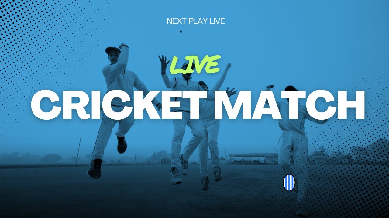 Live Score | Big Bash League | Brisbane Heat vs Sydney Thunder |  #foryou #t20 #cricketlive