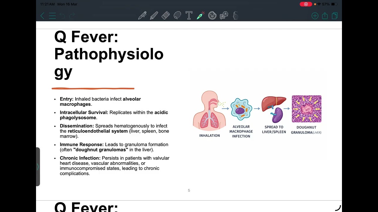 HLS: Microbiology 5