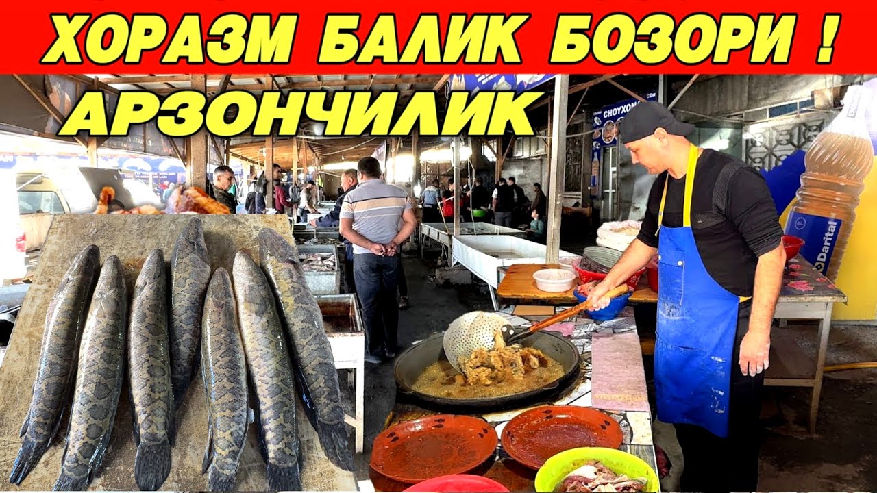 ХОРАЗМ БАЛИК БОЗОРИ ЯНГИ НАРХЛАР КАНДАЙ БУ́ЛЯБДИ !!! XORAZM SAVDO