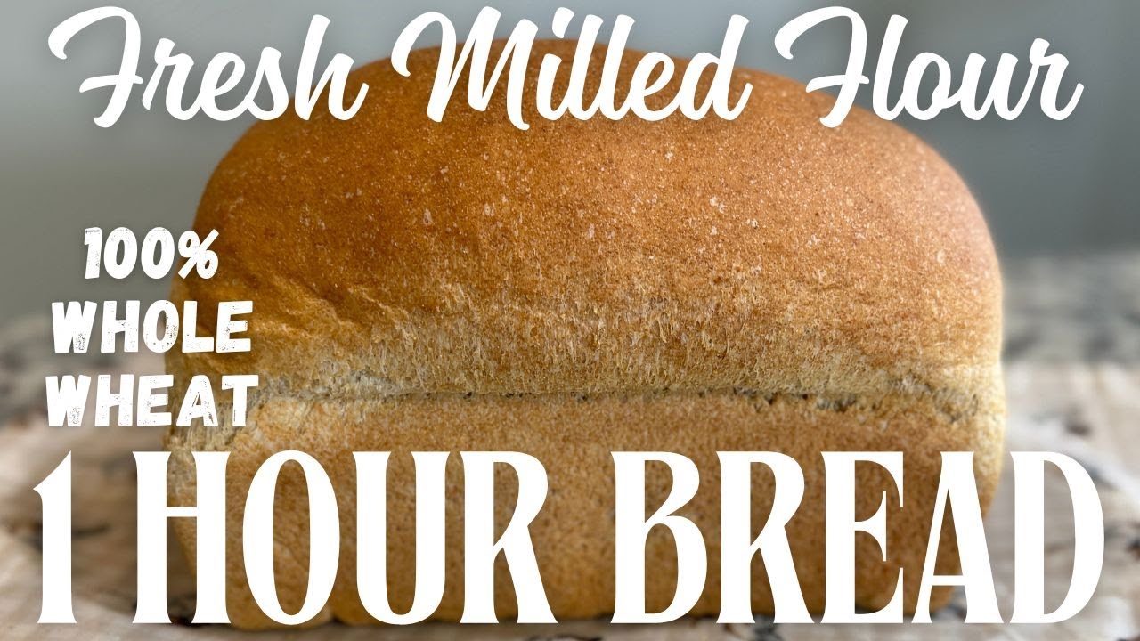1‑Hour Fresh‑Milled Flour Whole Wheat Sandwich Bread | Soft & Fluffy FMF Loaf in 60 Minutes!