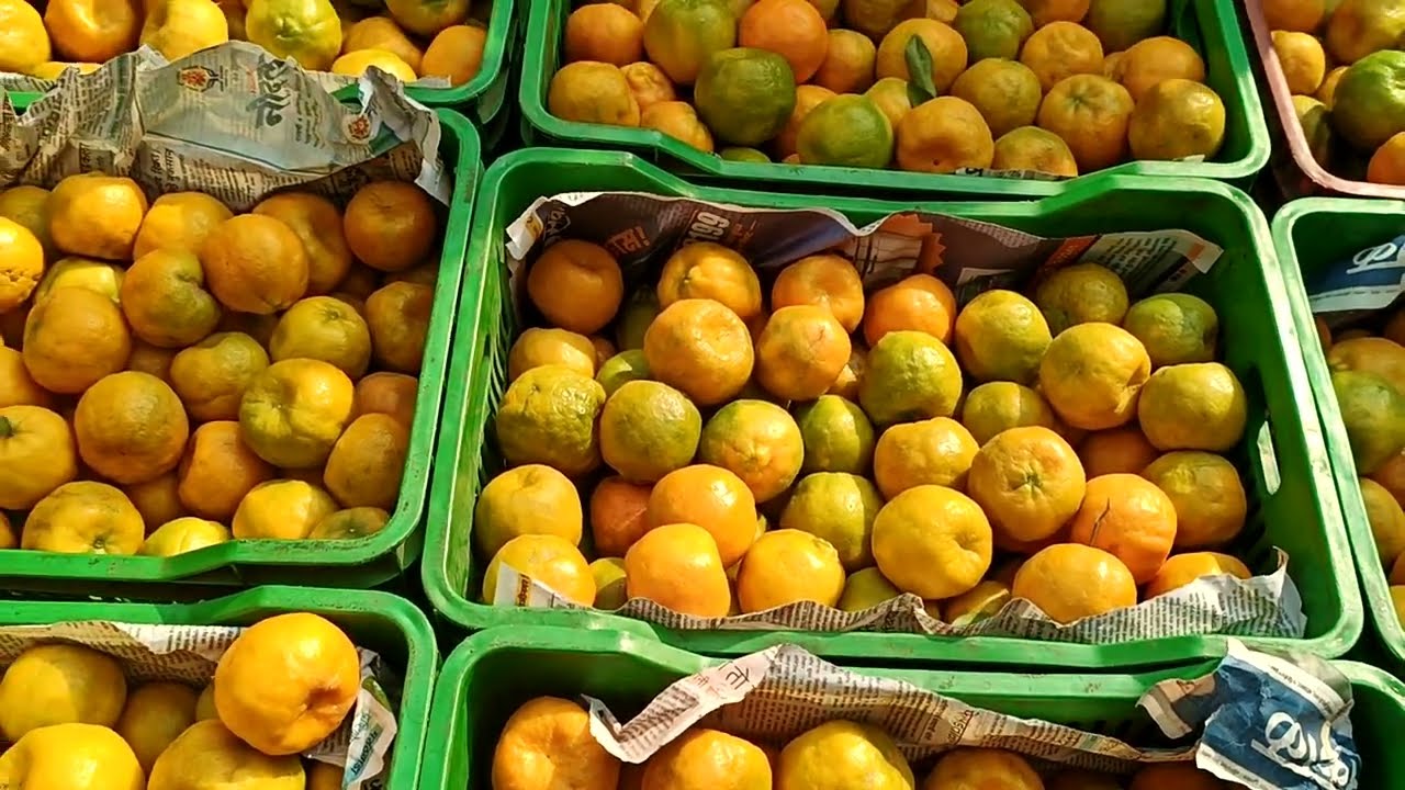 #today 21 January 2026 #live #video Orange #batasingaramfruitmarket