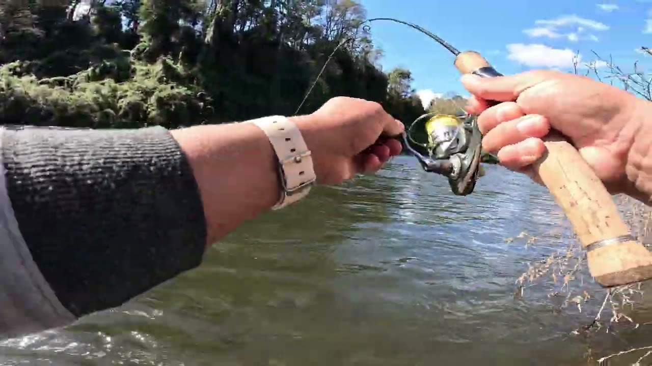 Pesca con mucho sol y señuelos hacen su magia! (Pesca de truchas, sur de Chile)