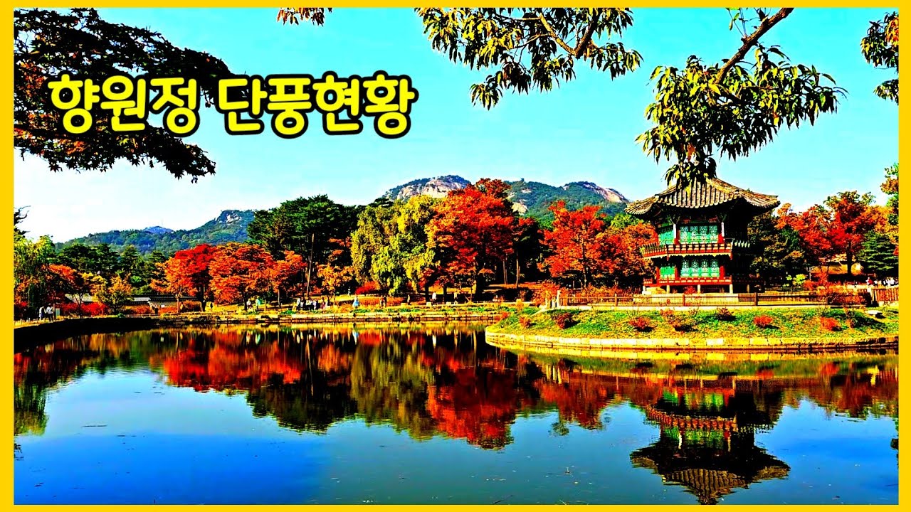 한복 입은 외국인들이 더 좋아하는 경복궁 향원정 단풍