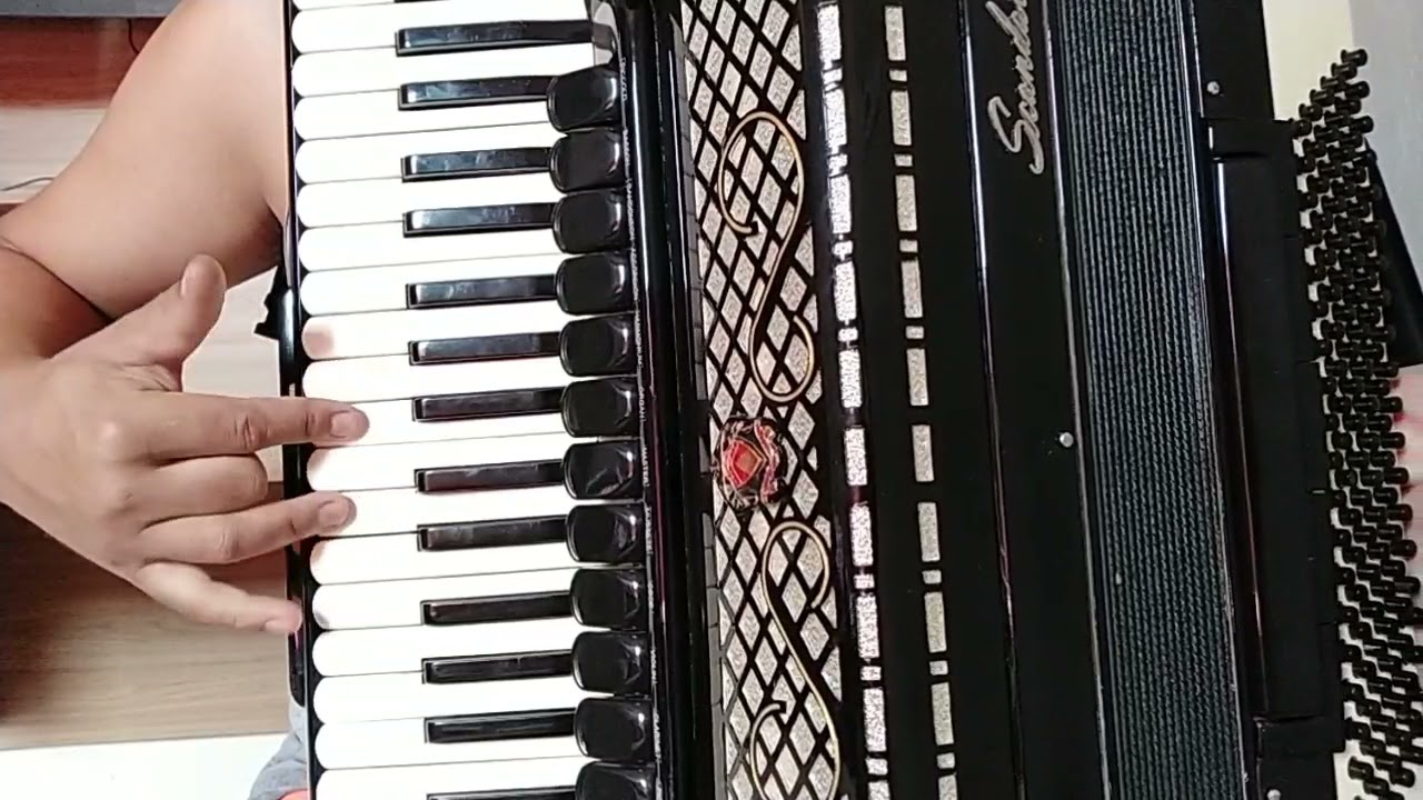 Vídeo Aula Acordeon 