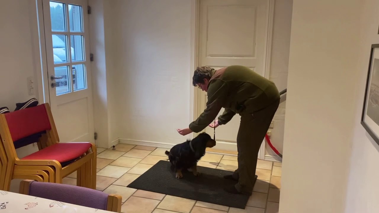 Cody 1 år