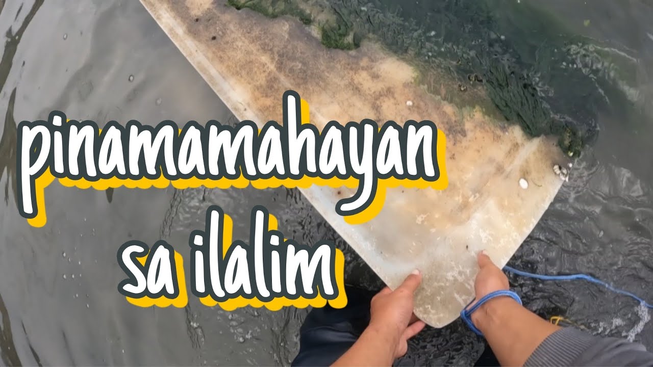 Dito pala Ang Bahay nila sa ilalim Ng malapad bagay