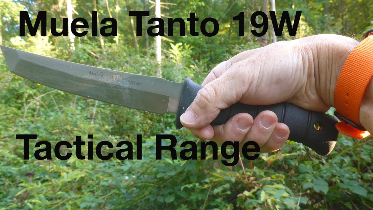 Muela Tanto 19W Review