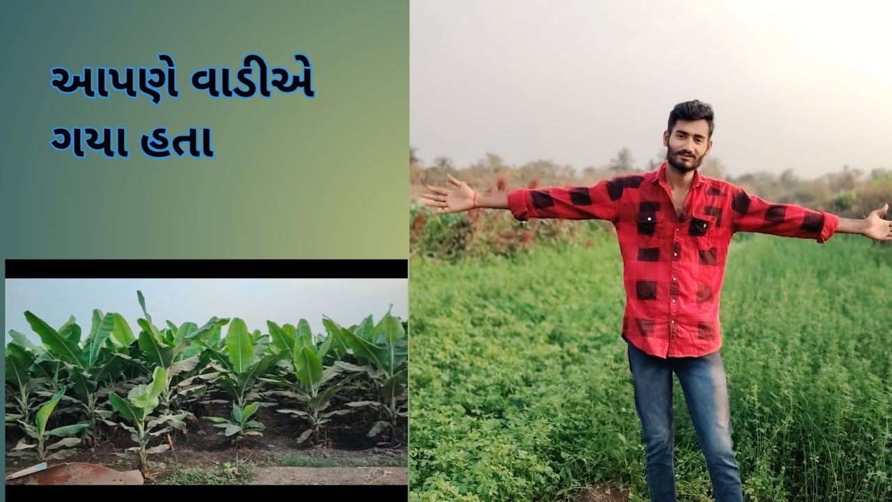 વાડીએ બહુ મજા આવે #ફેમિલી બ્લોક