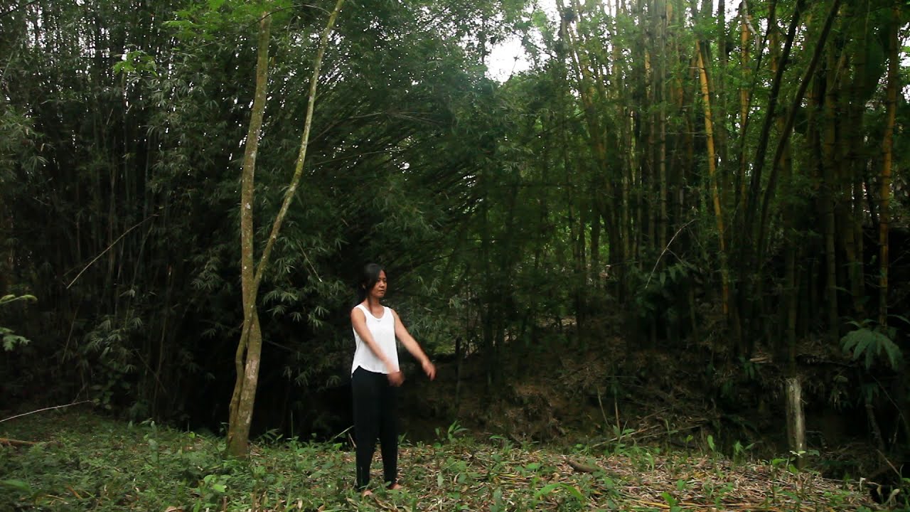 Qigong do Balanço das Mãos