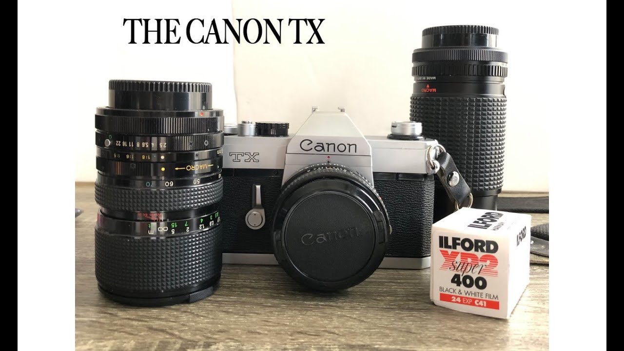 Canon TX — отличная камера для начинающих