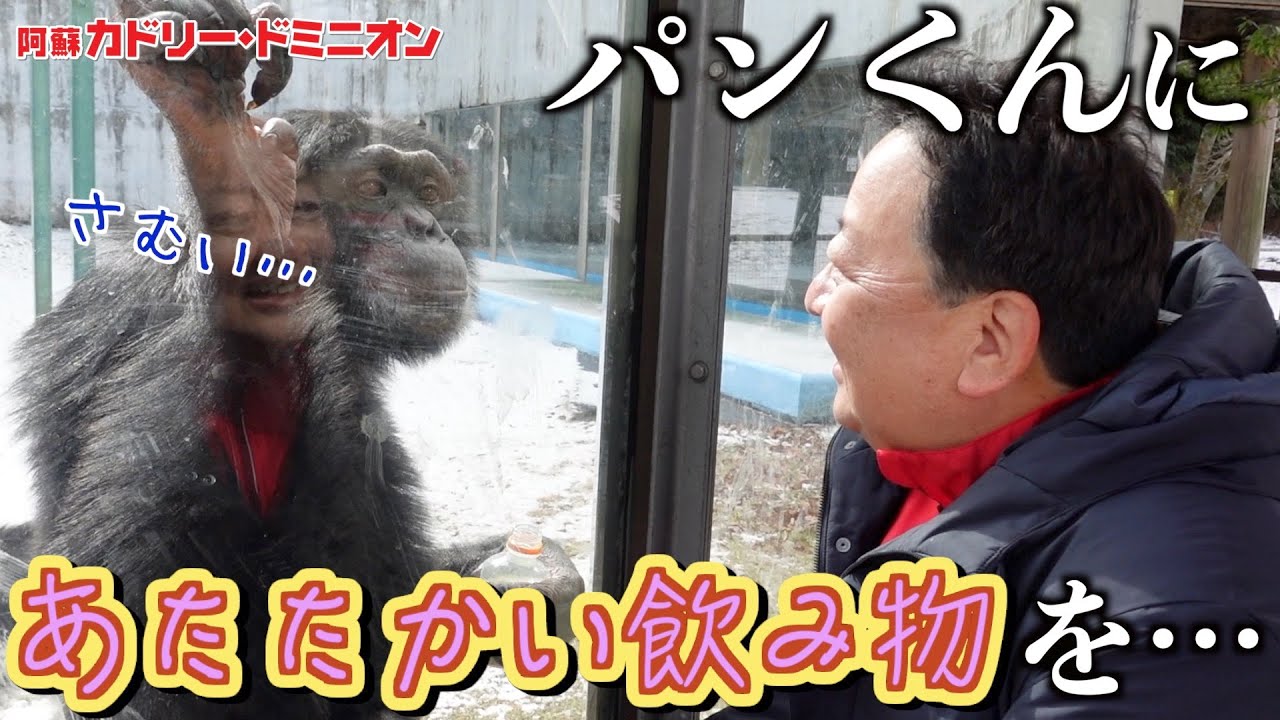 真冬のパンくんに動物園の社長があたたかい飲み物を渡したら感謝の行動をしてきた…