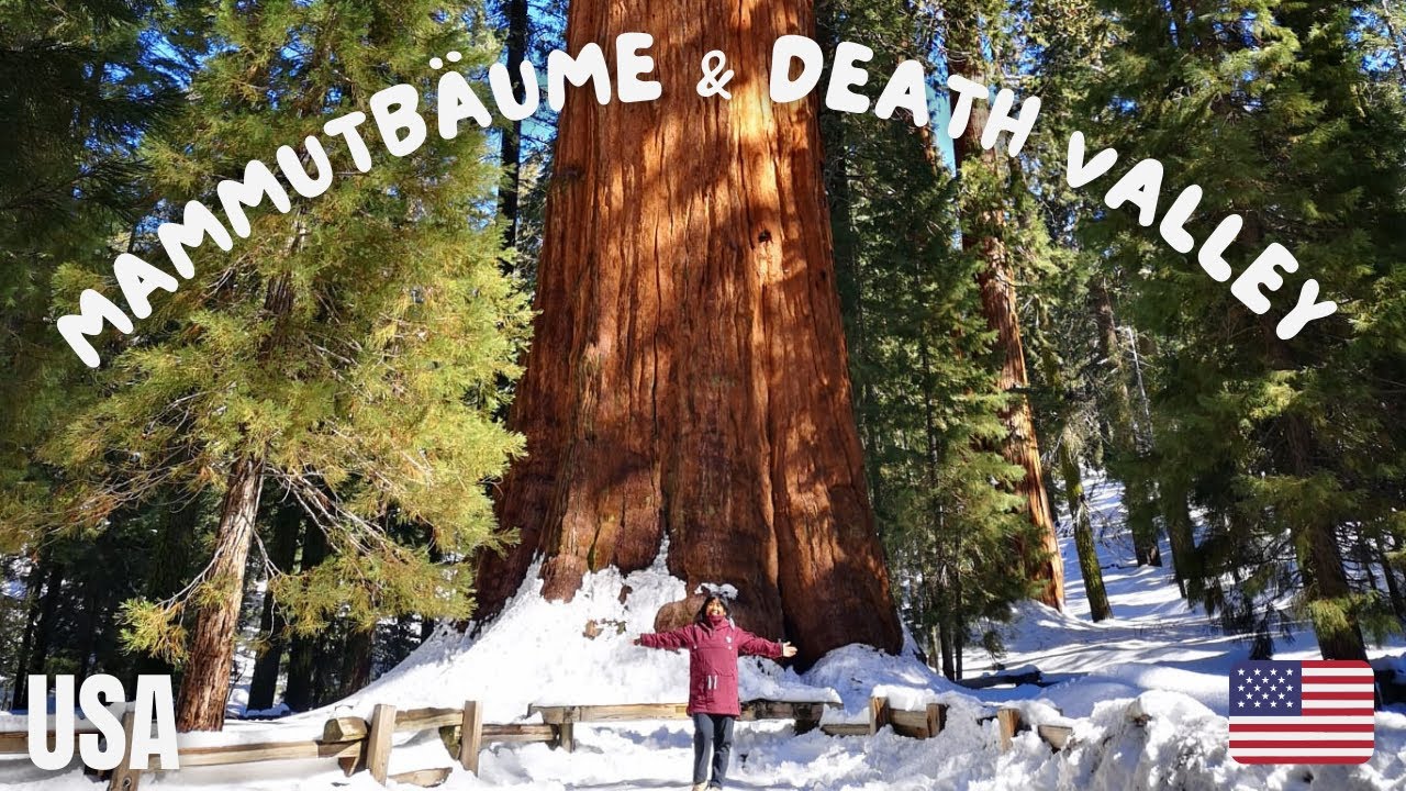 USA Folge 4 - Mammutbäume & Death Valley