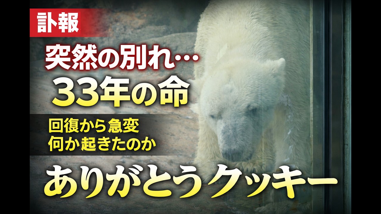 【訃報】愛されたクッキー死去…33年の生涯と最後の数日