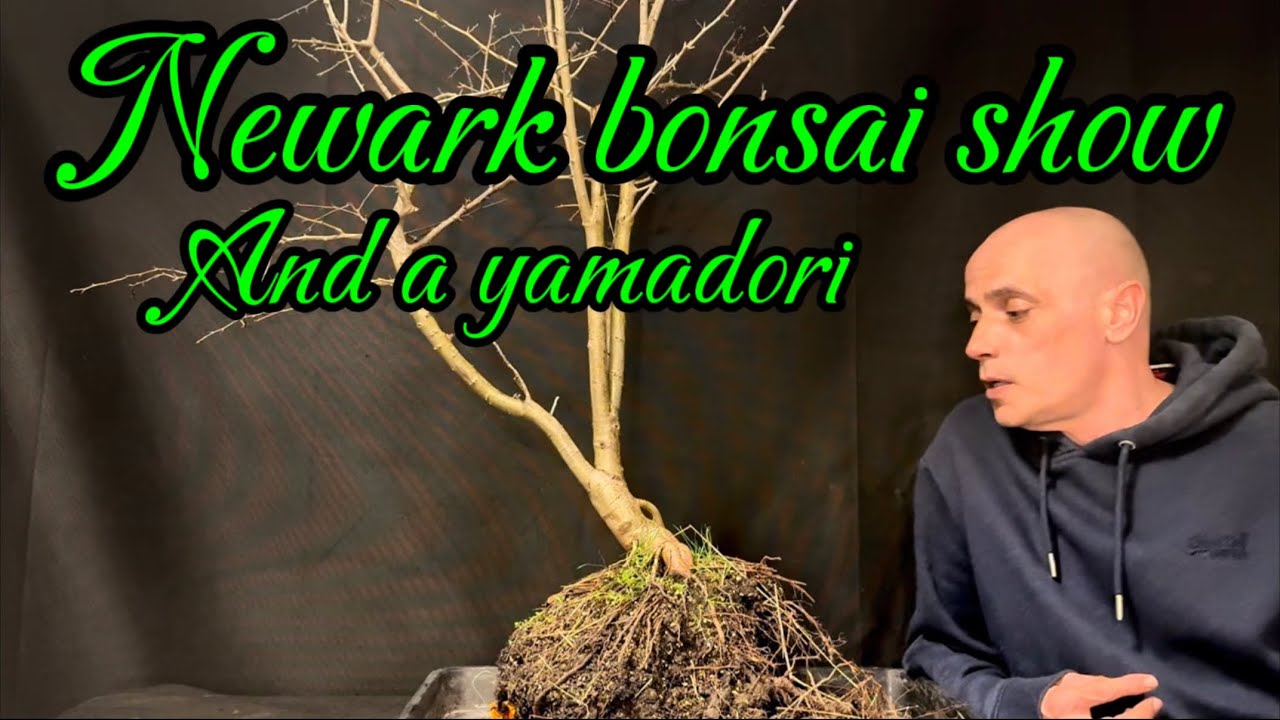 Фестиваль бонсай и ямадори