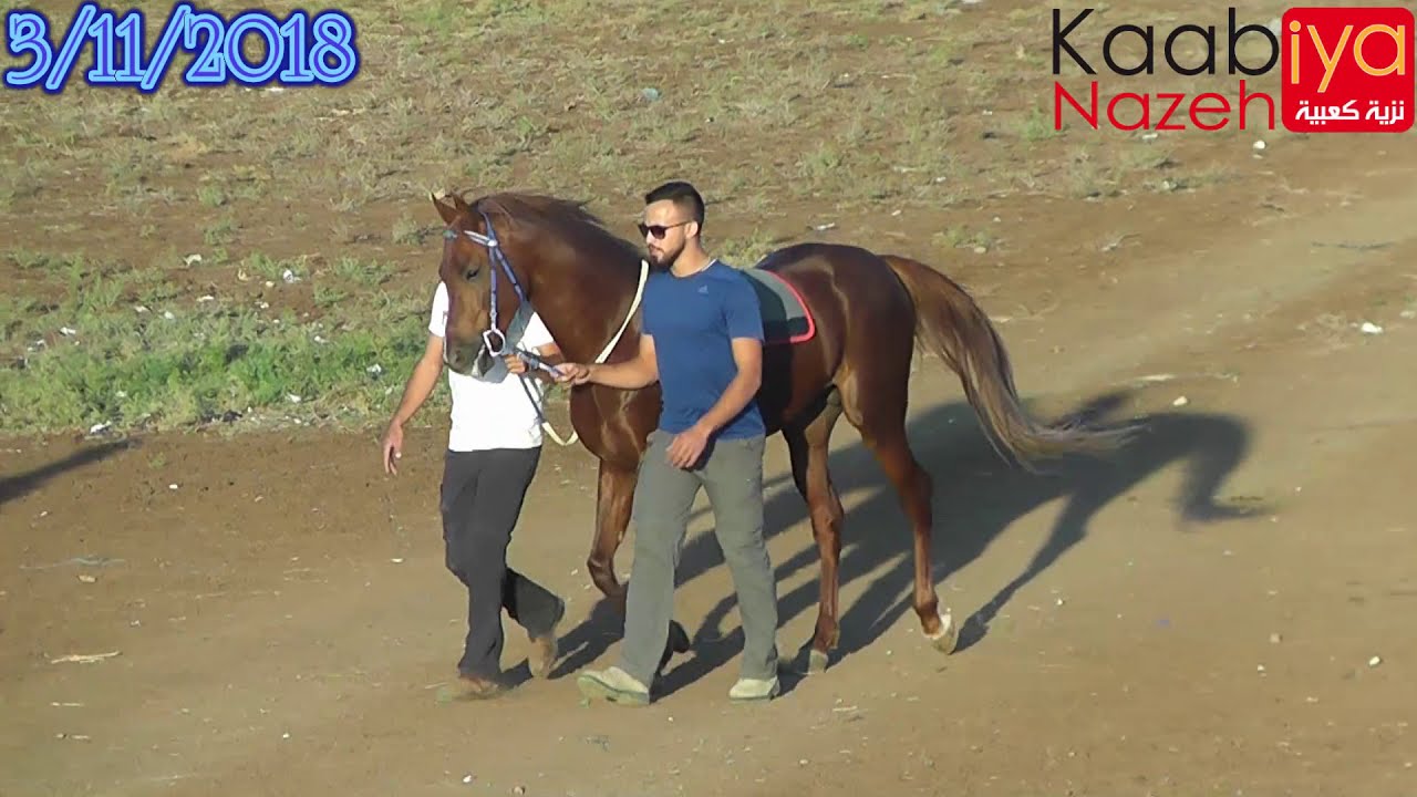 بطولة بطل ابطال جروب 1 الكبار الجنجي بريق عبيان بريق برشلونة بطولة ميدان المطار طمرة 3/11/2018